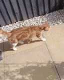 城里的姑娘真是又大又白 动图 妹子跳绳咋还掀裙子的？