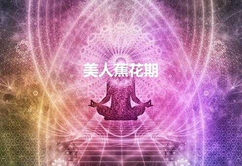 美人蕉花期(美人蕉什么时候开放呀)