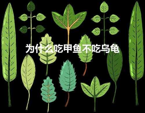 为什么吃甲鱼不吃乌龟(家里养龟十大禁忌)