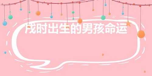 戌时出生的男孩命运(寅时出生的男孩什么命)