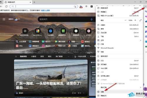 青柠起始页怎么设置默认页面?Edge青柠起始页设置为主页的方法