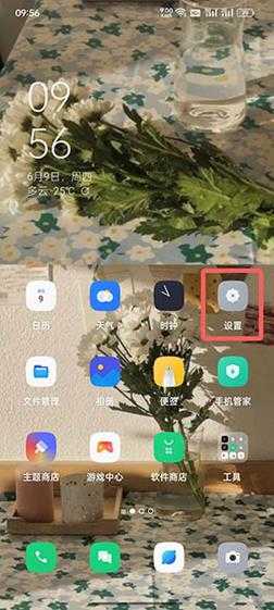 coloros12怎么看运行内存