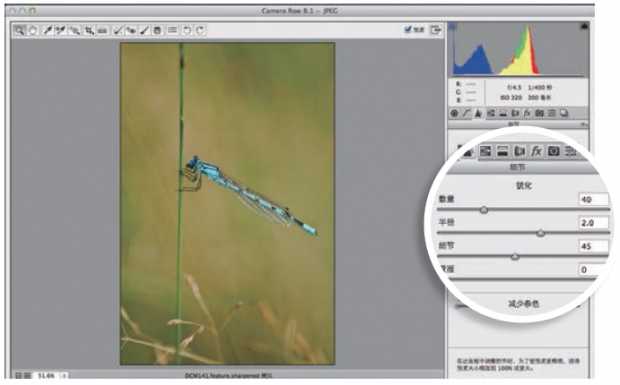 五种超强的PS锐化照片方法