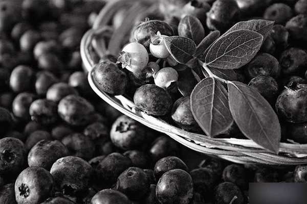 PS将彩色照片制作黑白照片的最佳方法